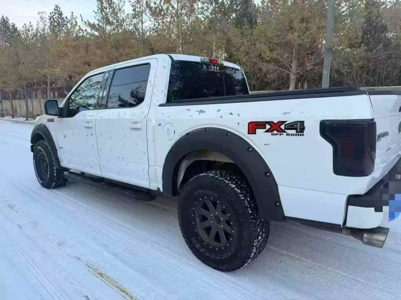 邢台18年福特猛禽8