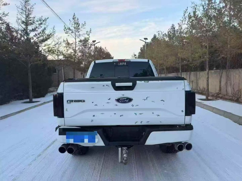 邢台18年福特猛禽9