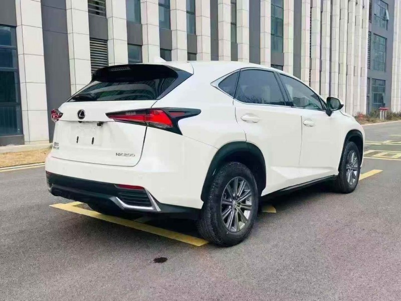 枣庄19年雷克萨斯NX8