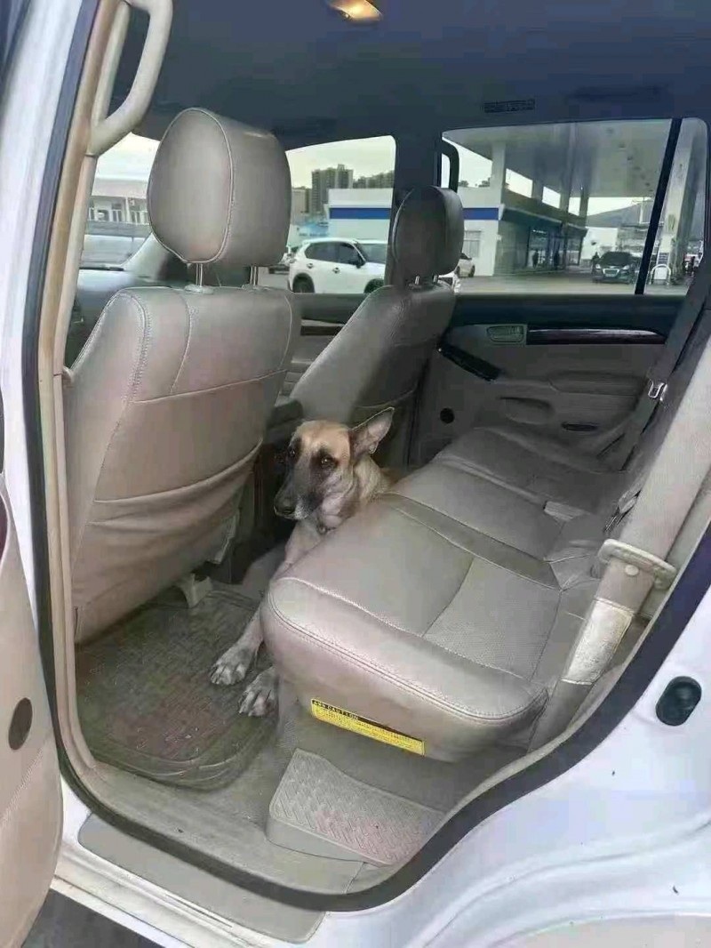 广州10年丰田普拉多4