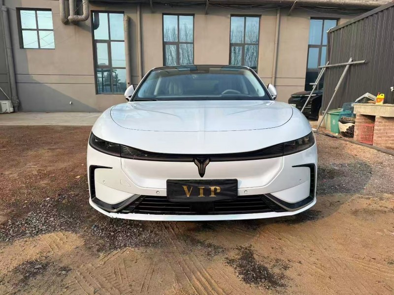 焦作23年岚图汽车追光1