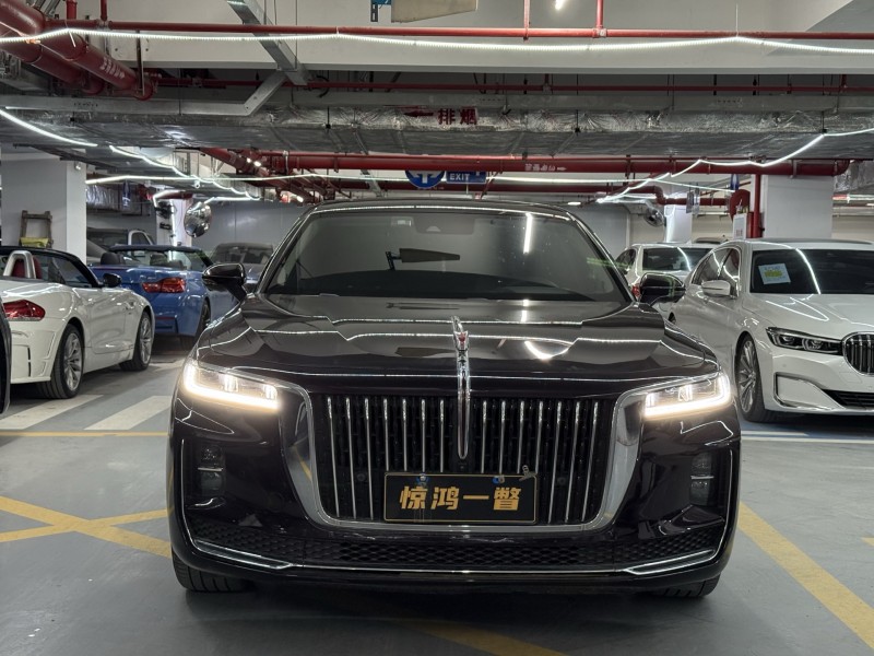 深圳21年红旗H91