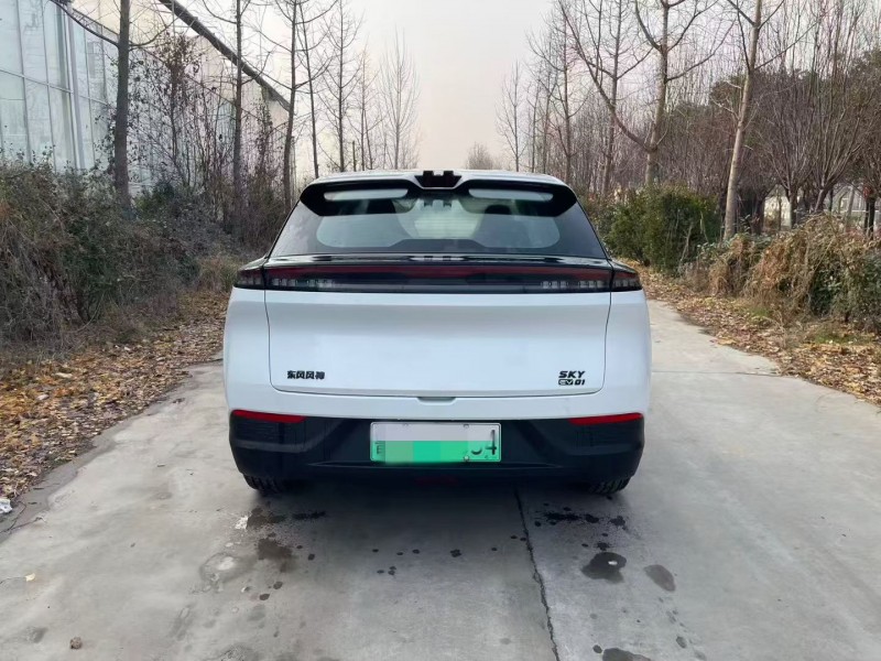 济宁25年东风风神9