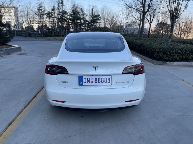 济宁20年特斯拉MODEL 39