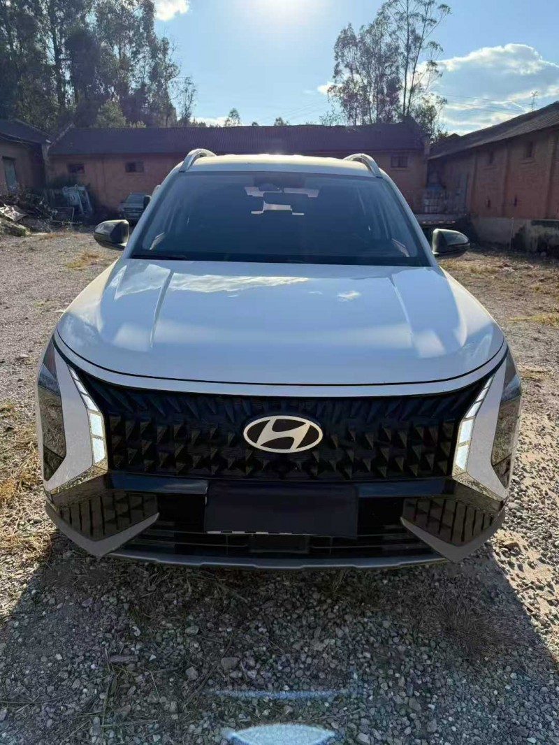 楚雄24年现代沐飒1