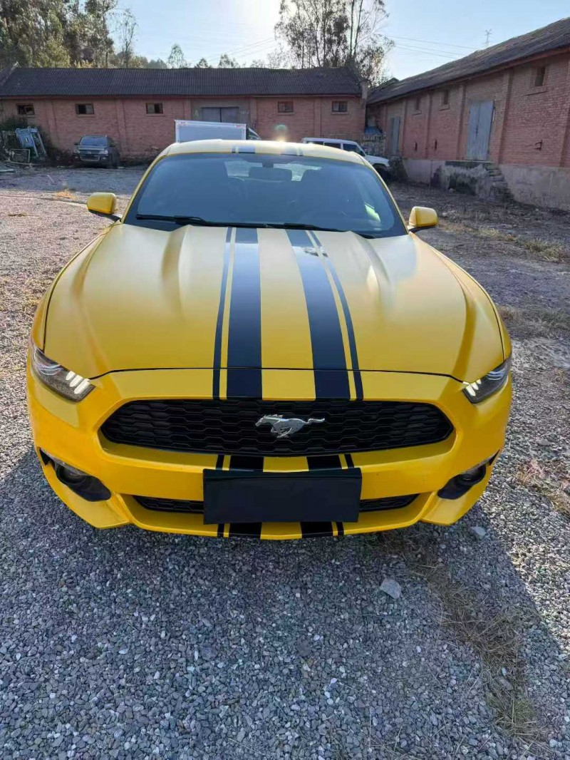 楚雄16年福特野马1