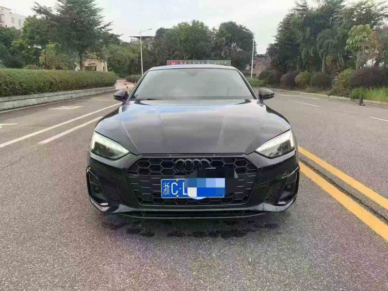 湛江22年奥迪A51