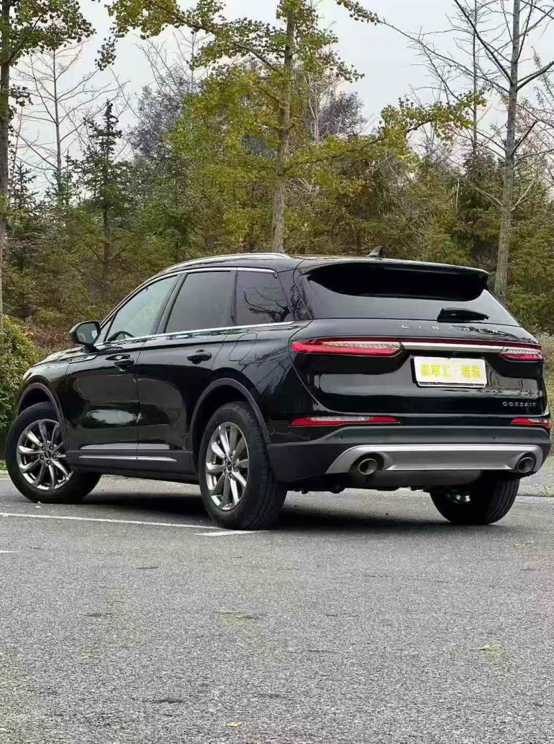 九江20年林肯冒险家6