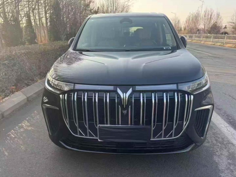 潍坊22年岚图汽车梦想家1