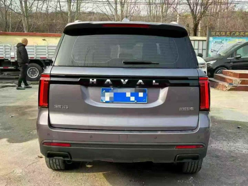 淄博24年哈弗H59