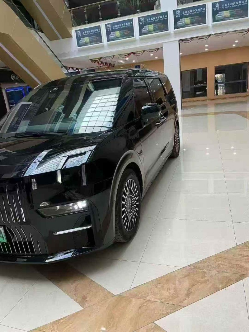 安庆24年极氪汽车0093