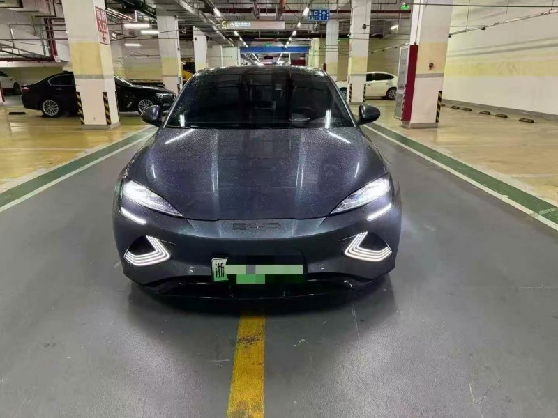 杭州24年比亚迪海豚1