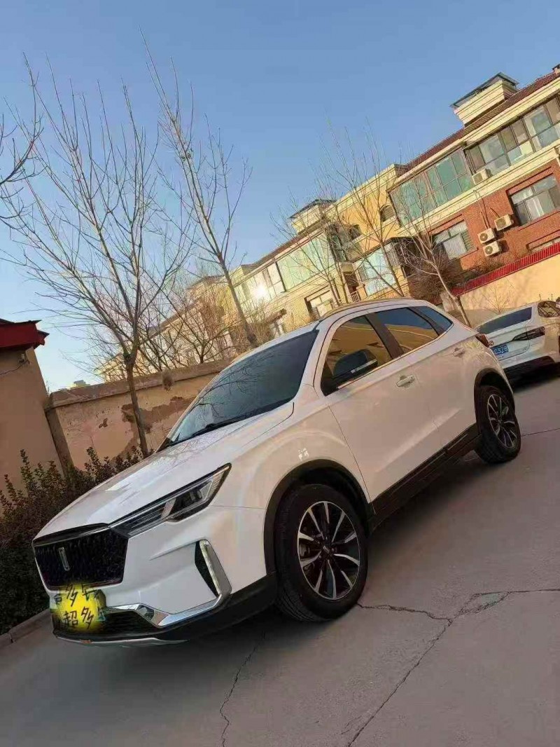 张家口21年奔腾T332