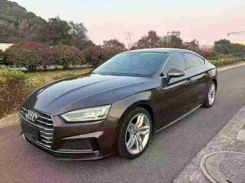 衢州18年奥迪A52