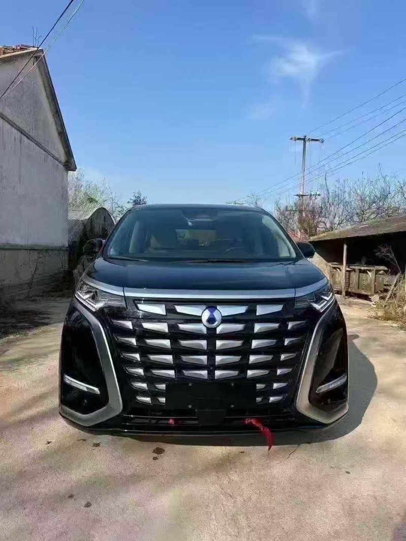 潍坊24年腾势D91