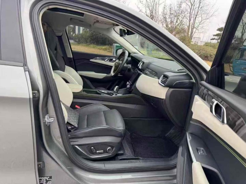 常州21年领克029