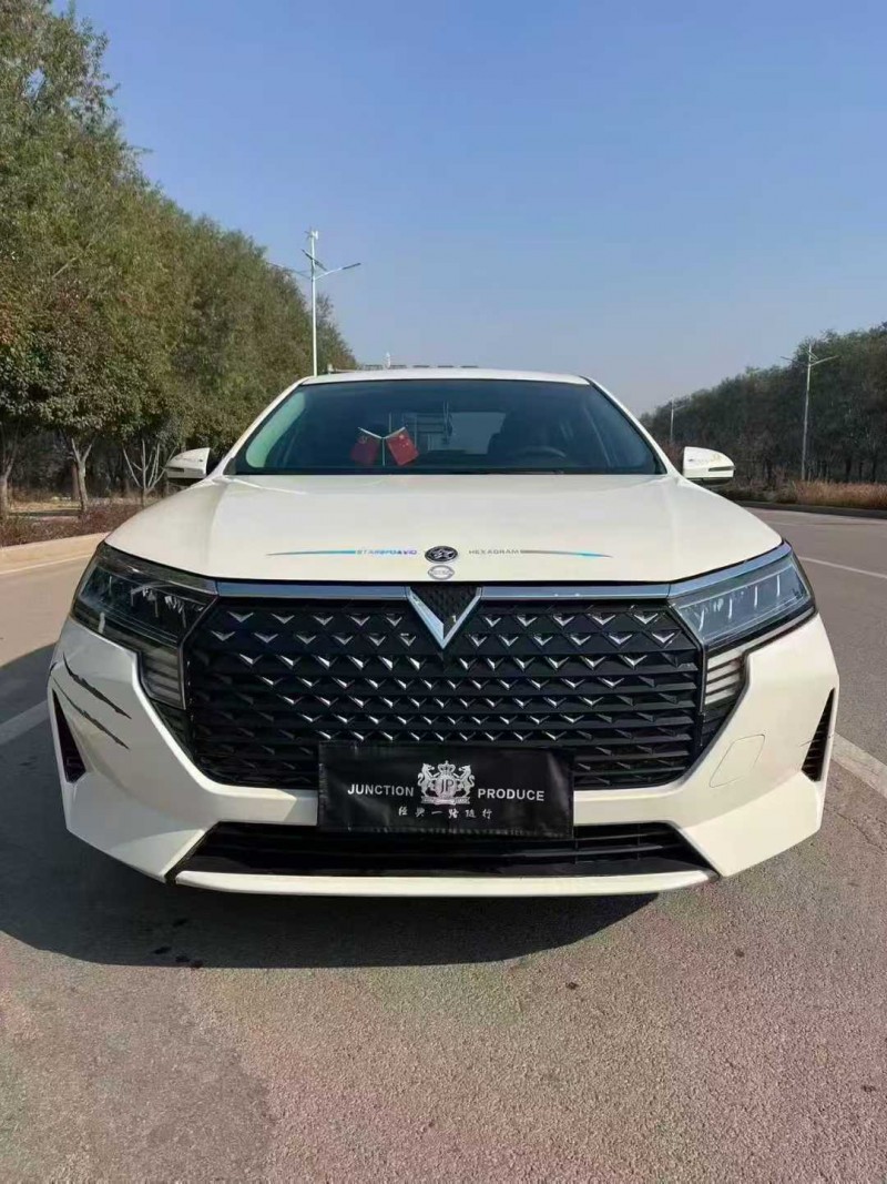 烟台24年启辰D601