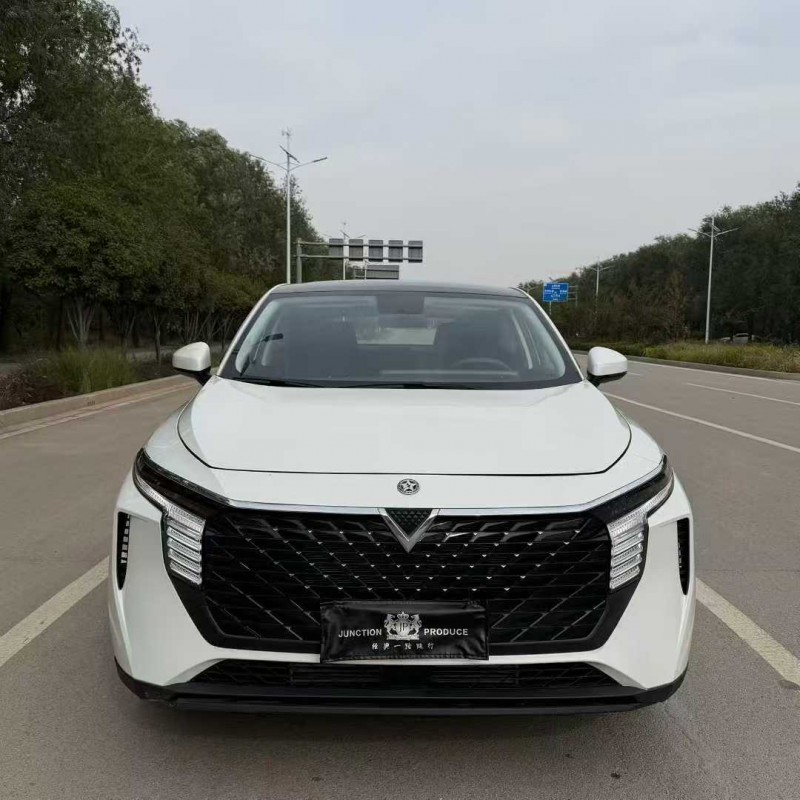 潍坊23年启辰大V1