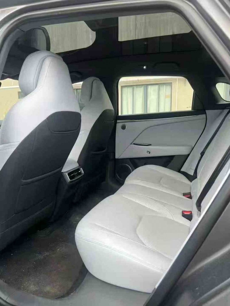 湛江24年极狐汽车阿尔法5