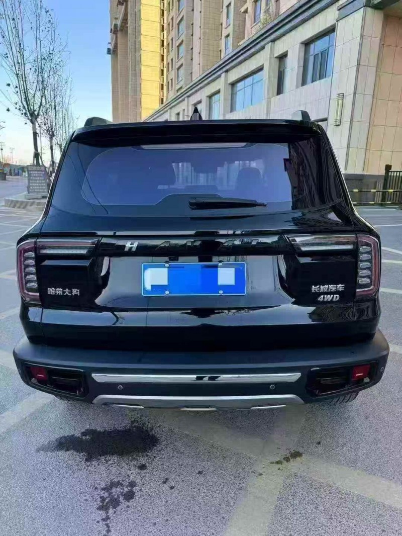 承德23年哈弗大狗9