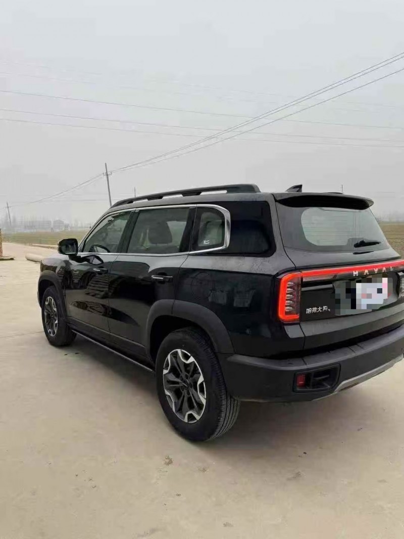 菏泽23年哈弗大狗8