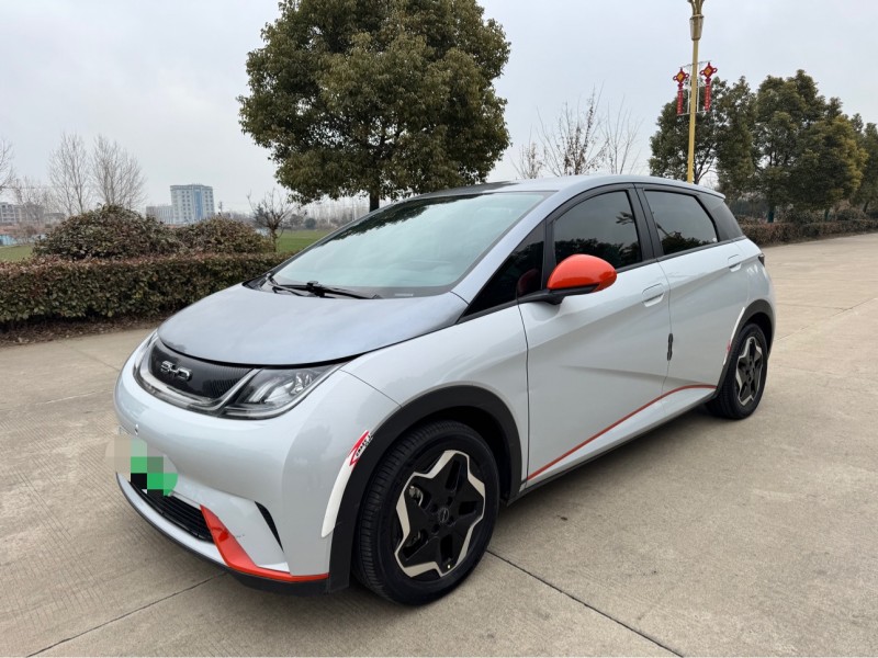 盐城22年比亚迪海豚2