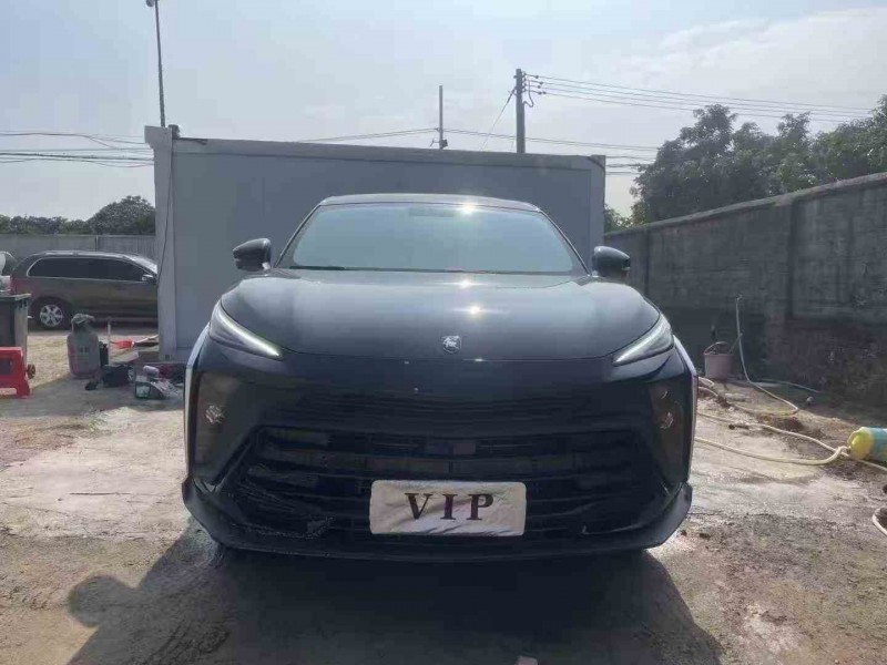 湛江24年东风风行1