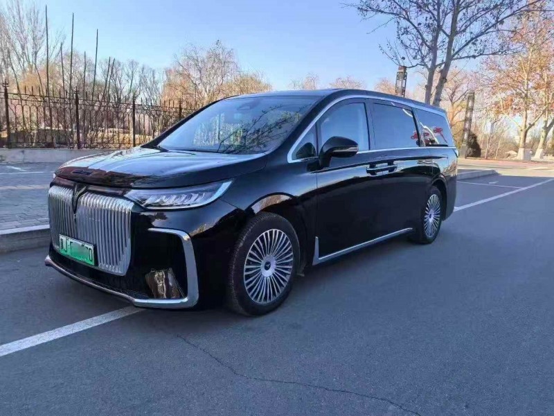 承德25年岚图汽车梦想家2