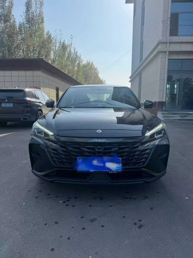 枣庄22年东风奕炫1