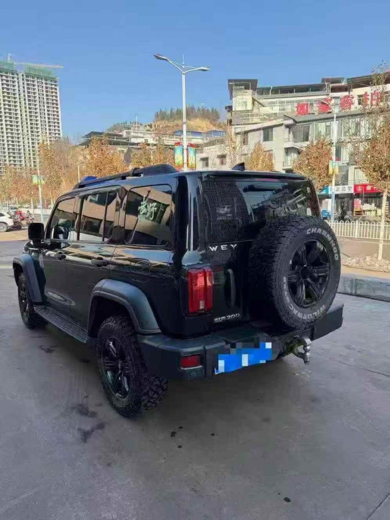 阳泉21年长城汽车坦克6