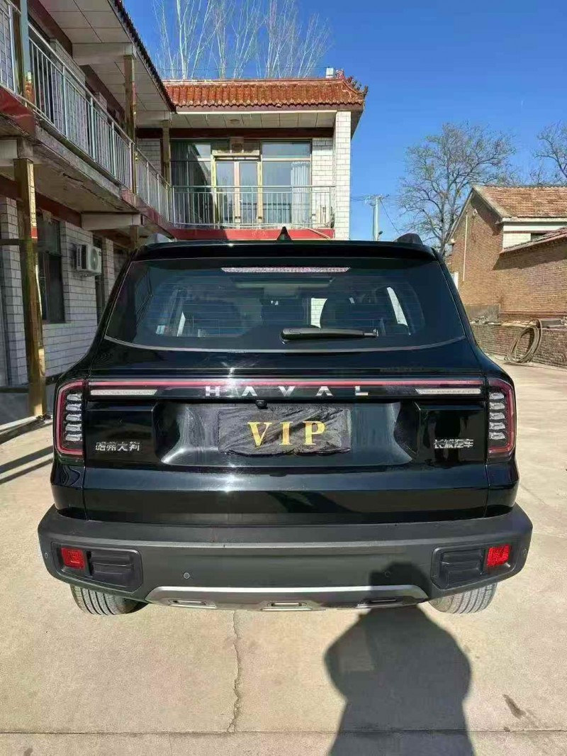 秦皇岛24年哈弗大狗9