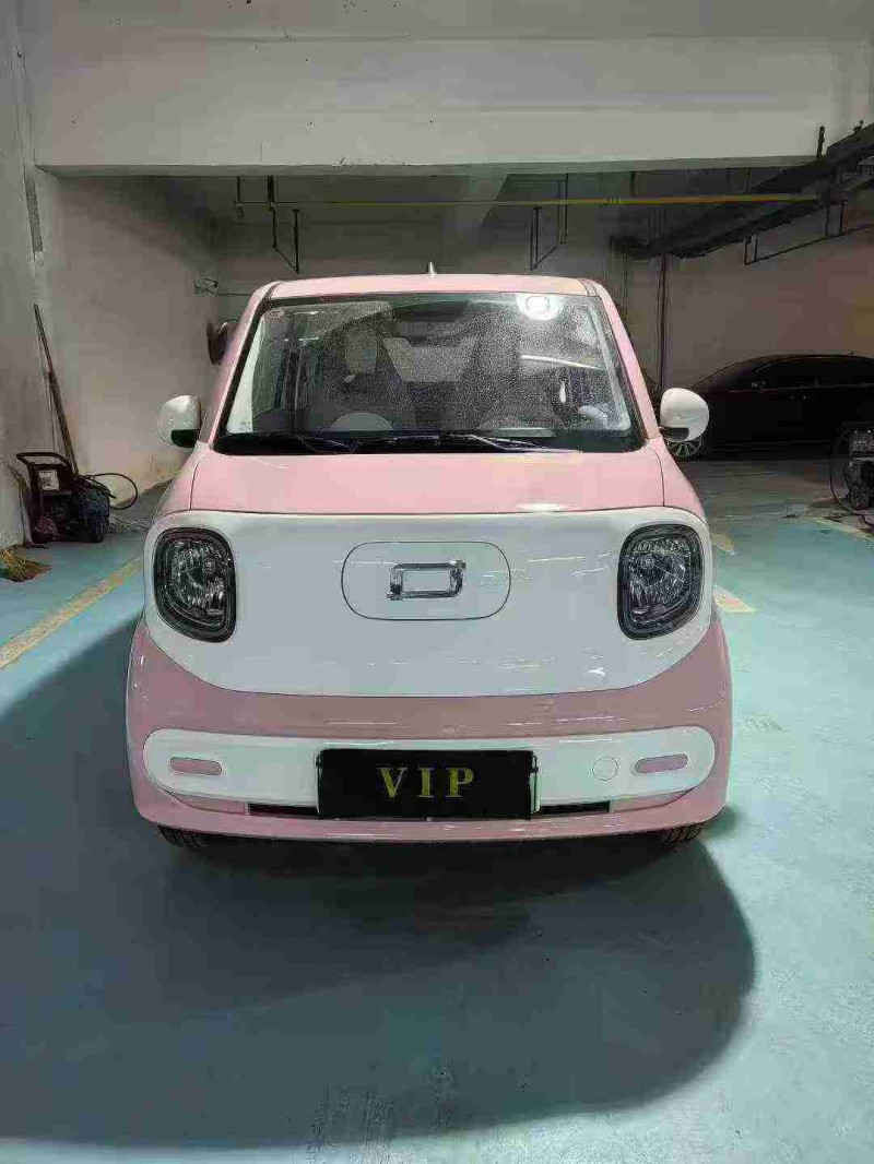 襄阳24年奔腾小马1