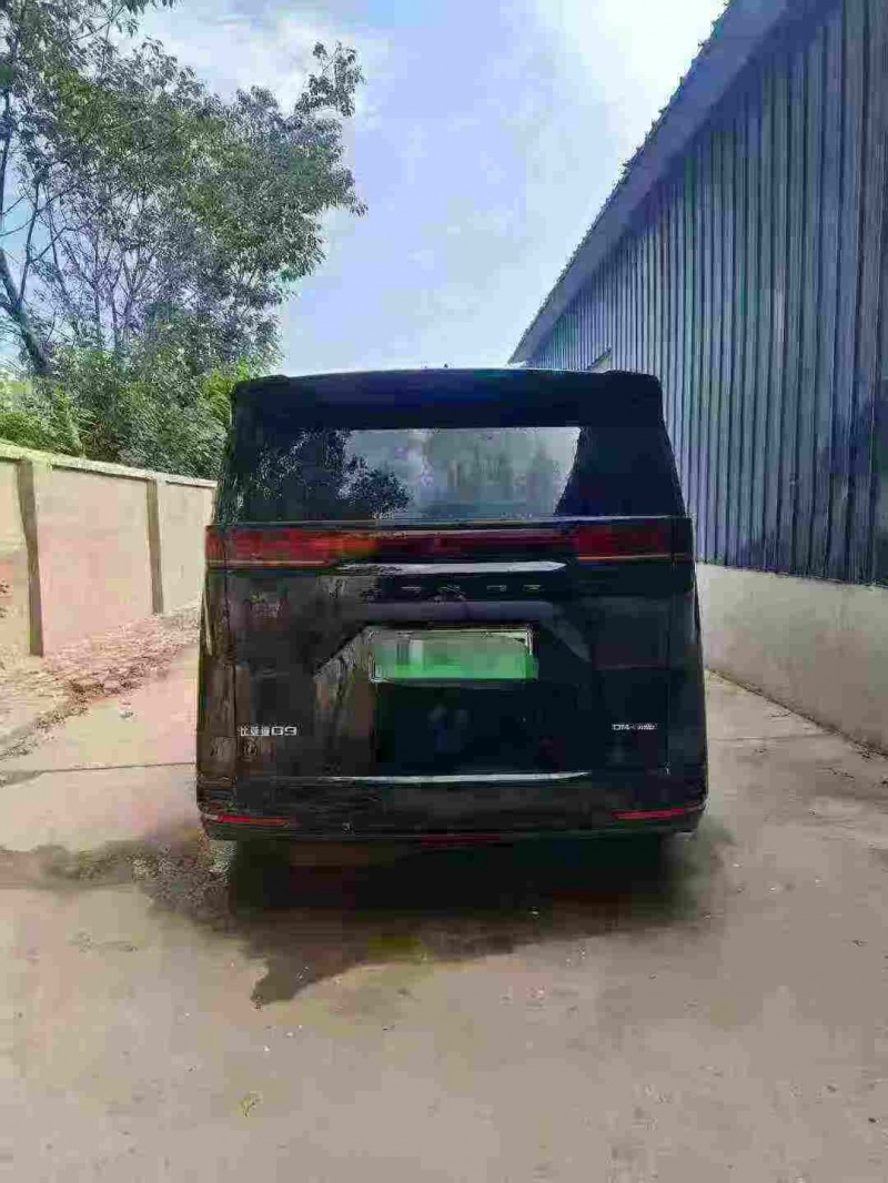 西安23年腾势D99