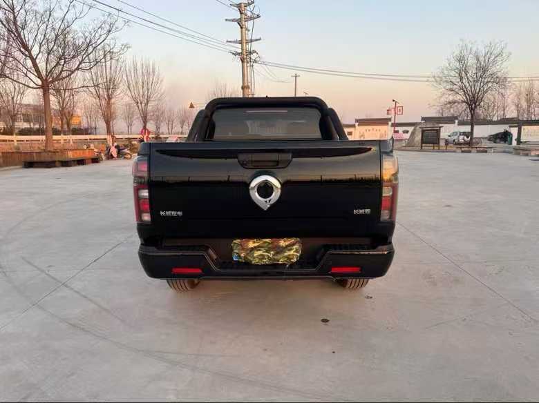 徐州22年长城汽车炮 皮卡9