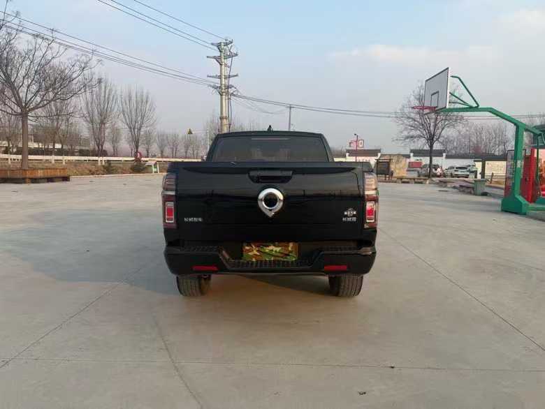 徐州23年长城汽车炮 皮卡9