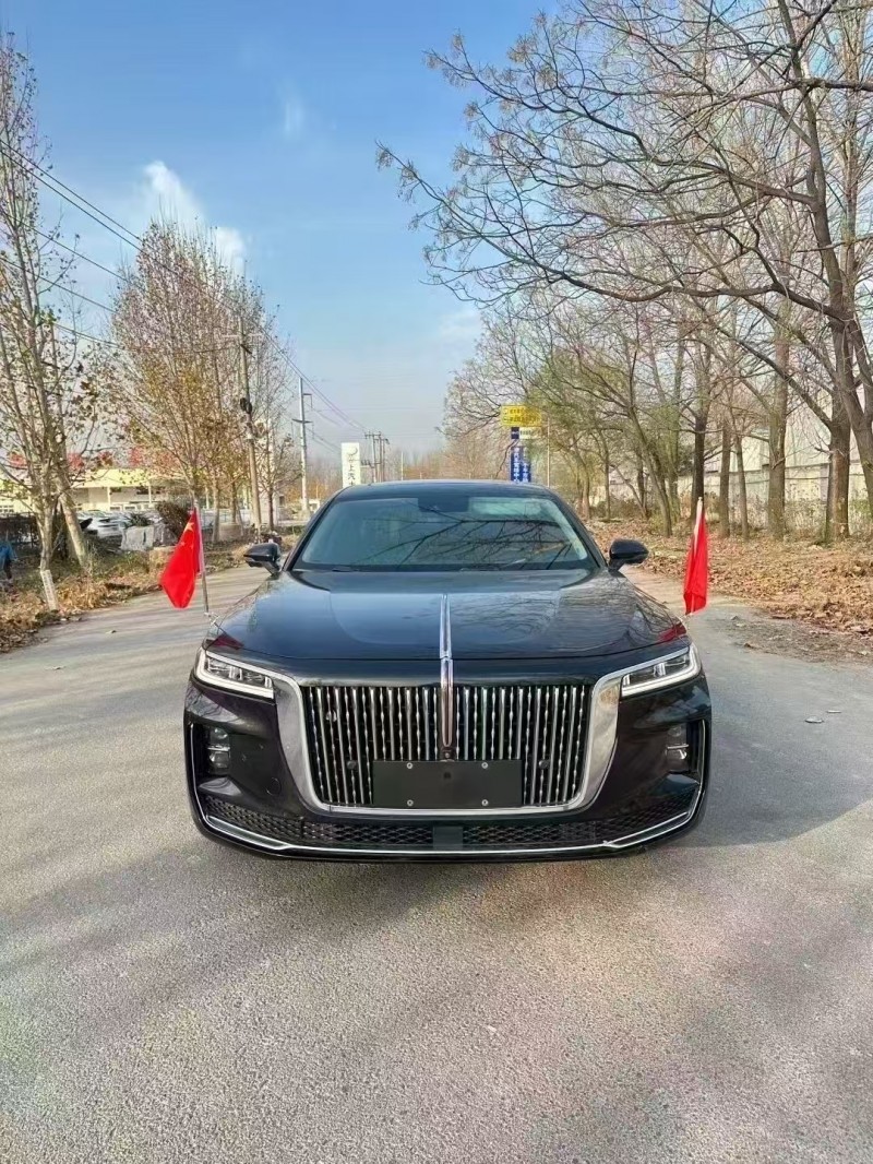 菏泽21年红旗H91