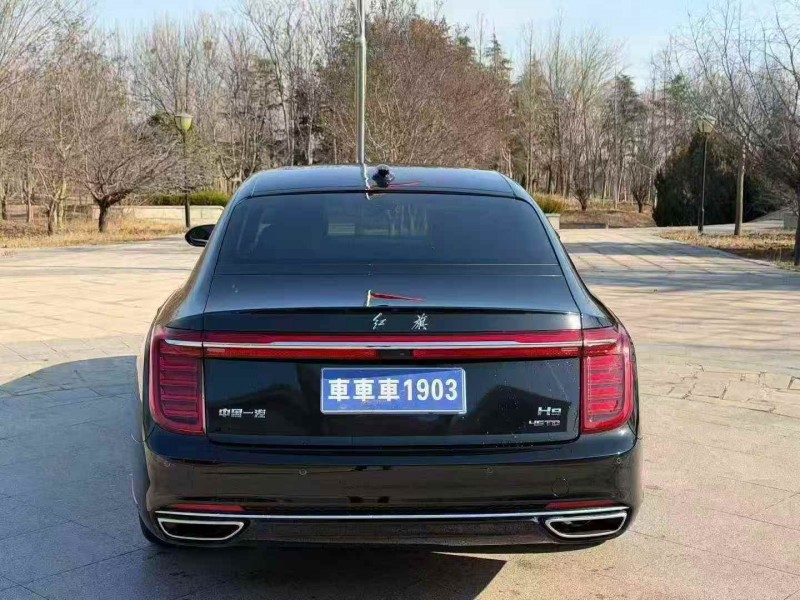 枣庄22年红旗H98