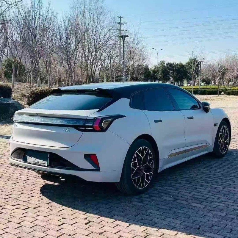 青島24年極氪汽車0017