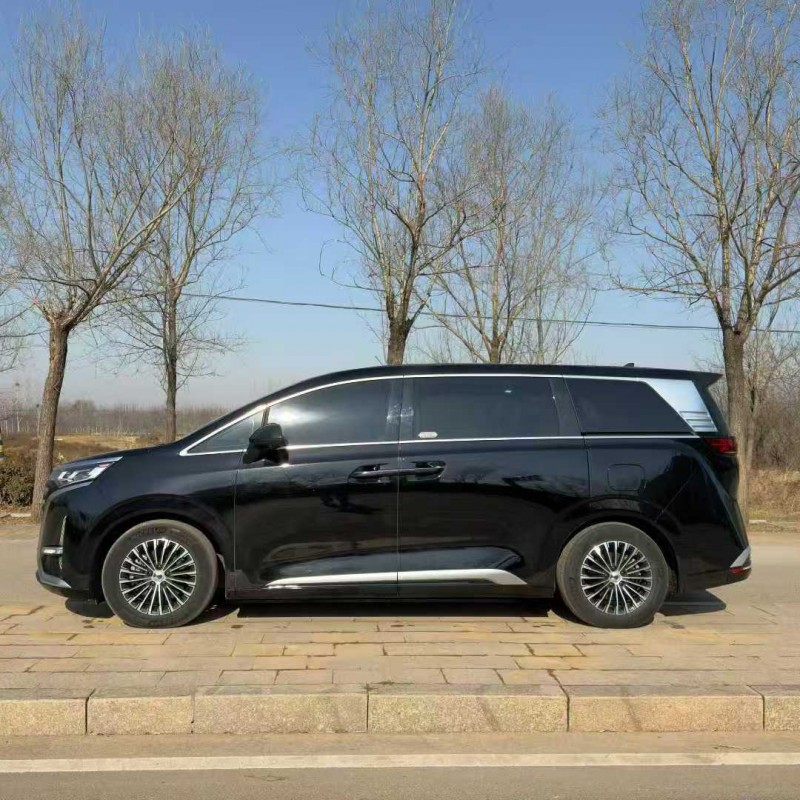 枣庄23年腾势D99