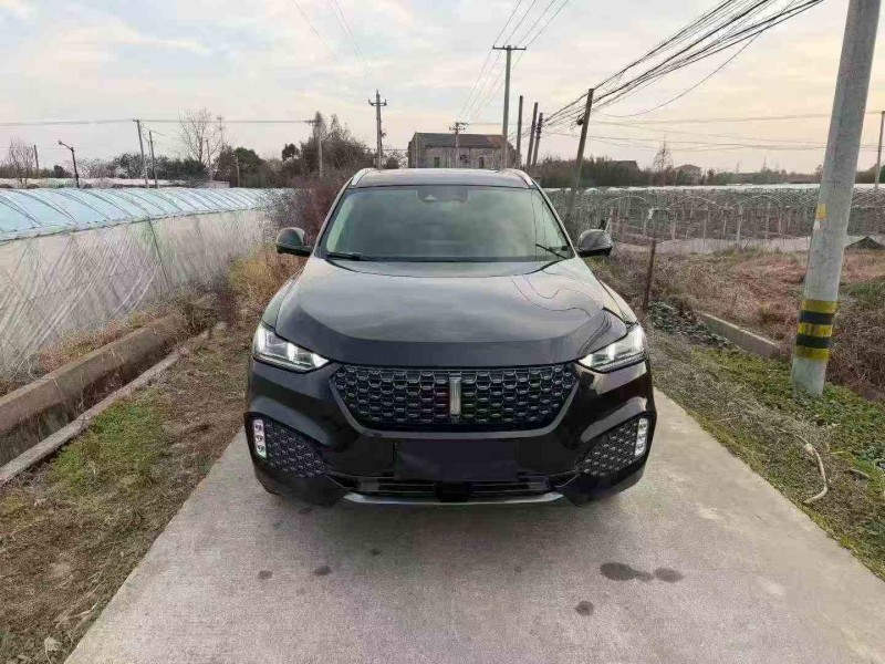 衢州20年长城汽车魏牌1