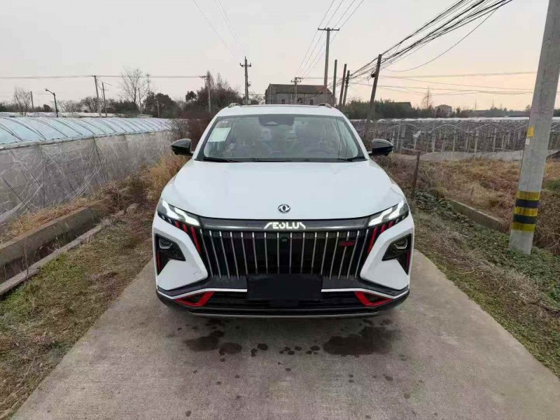 衢州24年东风风神1