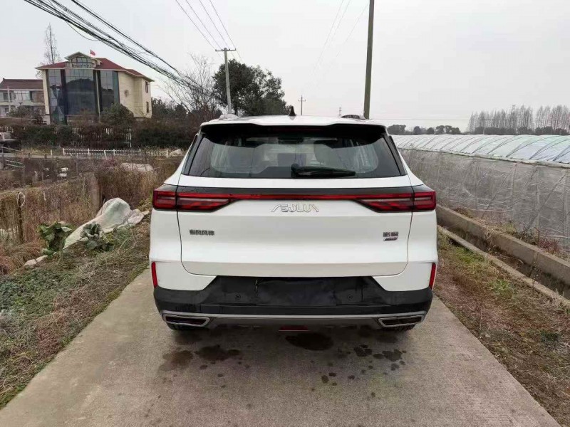 衢州24年东风风神9