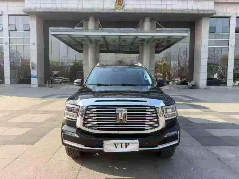 枣庄24年长城汽车坦克1