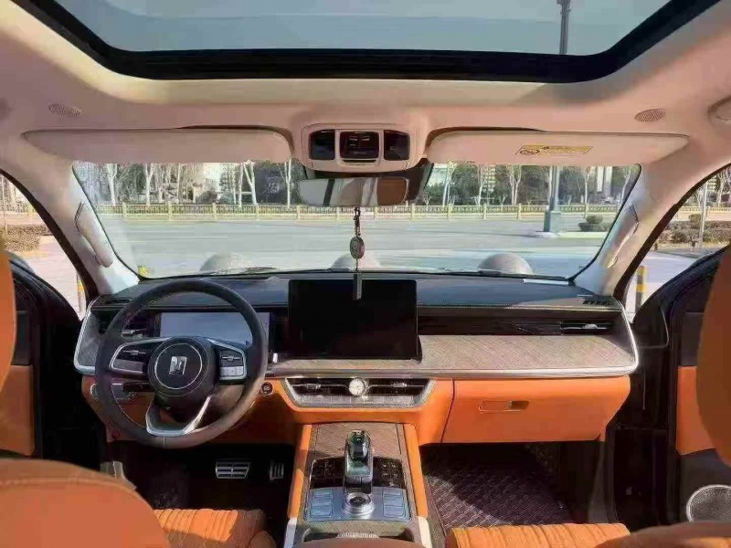 枣庄24年长城汽车坦克4