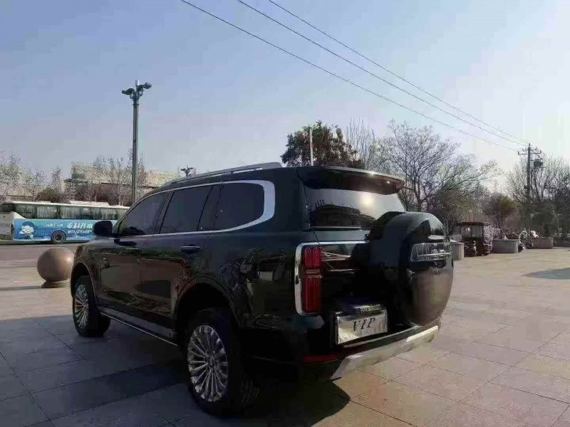 枣庄24年长城汽车坦克9