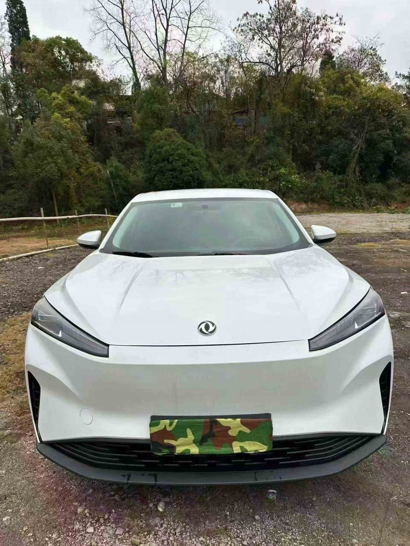 衡阳24年东风风神1