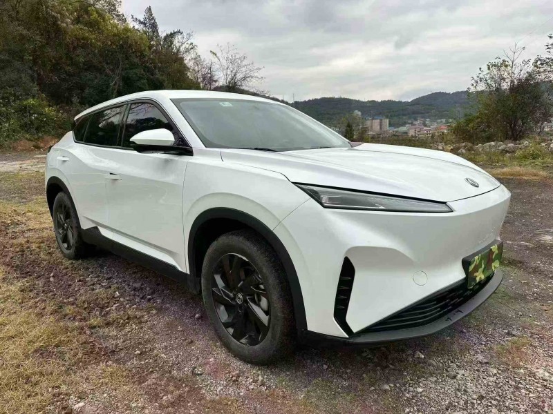 衡阳24年东风风神3