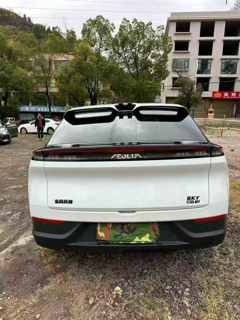 衡阳24年东风风神9