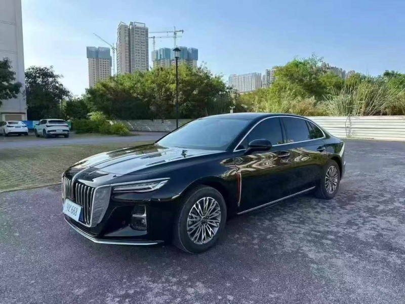 南宁24年红旗H53