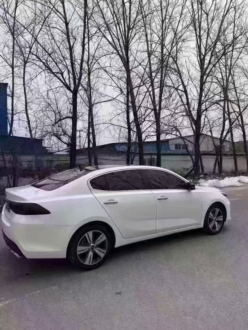 菏泽18年起亚凯绅8